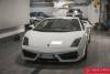 Lamborghini Gallardo 36 _8FX3963