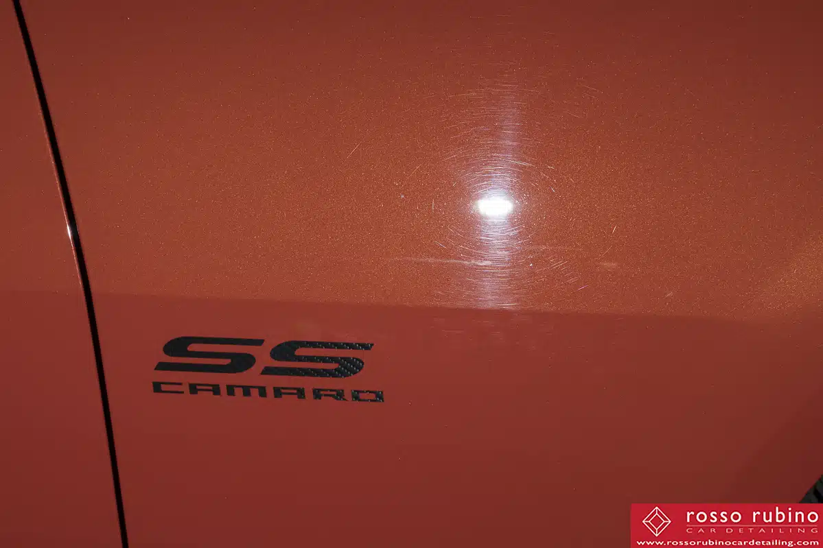 6SC1313