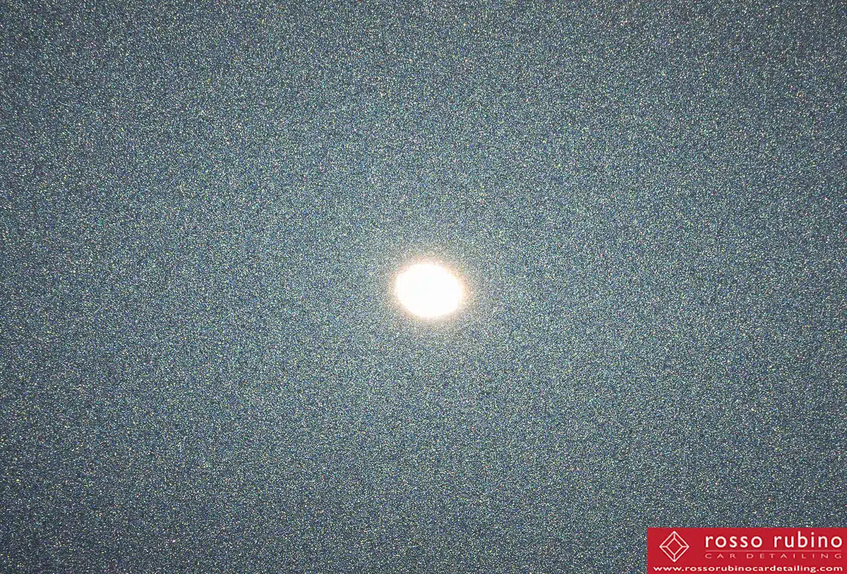 DSC0881